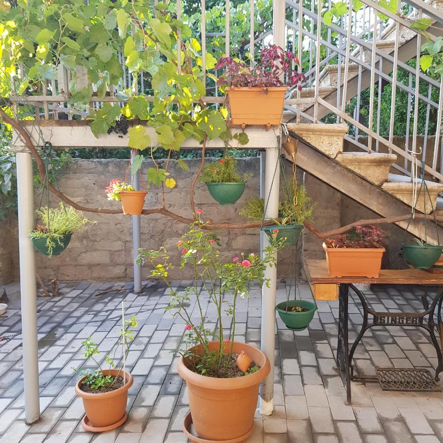 Домик У Куры Hotell Tbilisi Exteriör bild